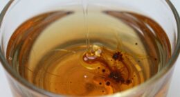 early fluid contamination checks