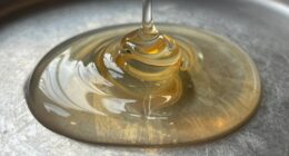 fluid induced seal expansion and contraction