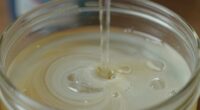 milky gear oil warning