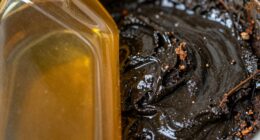 oil degradation and pollution