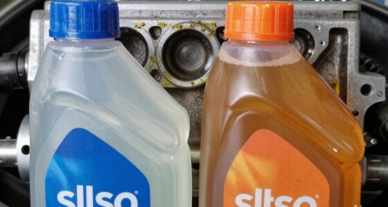 two stroke oil deposits